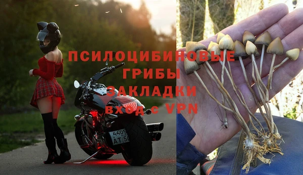 скорость Алексин