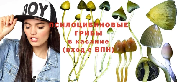 крисы Алексеевка