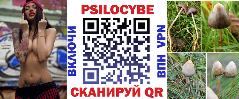 купить   Кедровый  Псилоцибиновые грибы мицелий 